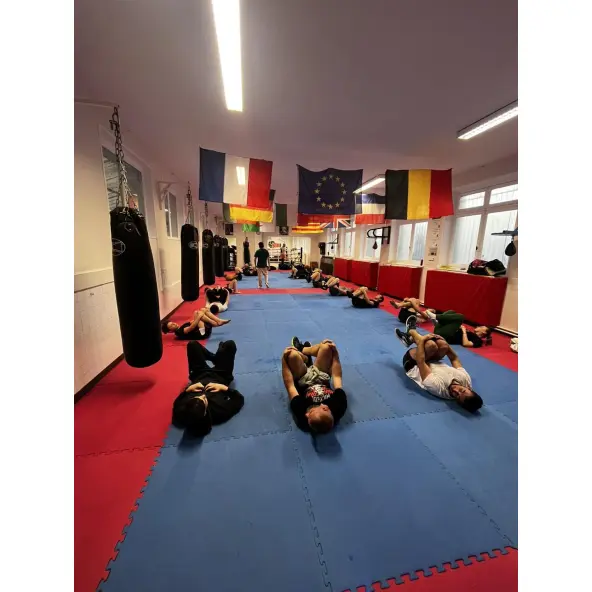 Saco de Boxeo Pro Budofight