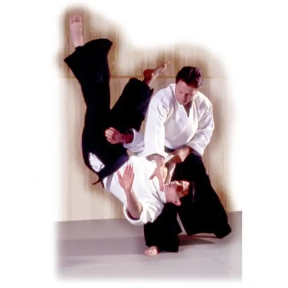 Hakama Aikido Azul Iwata Importación Japón