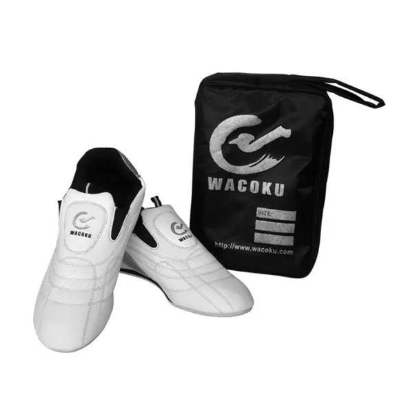 Zapatos de Taekwondo