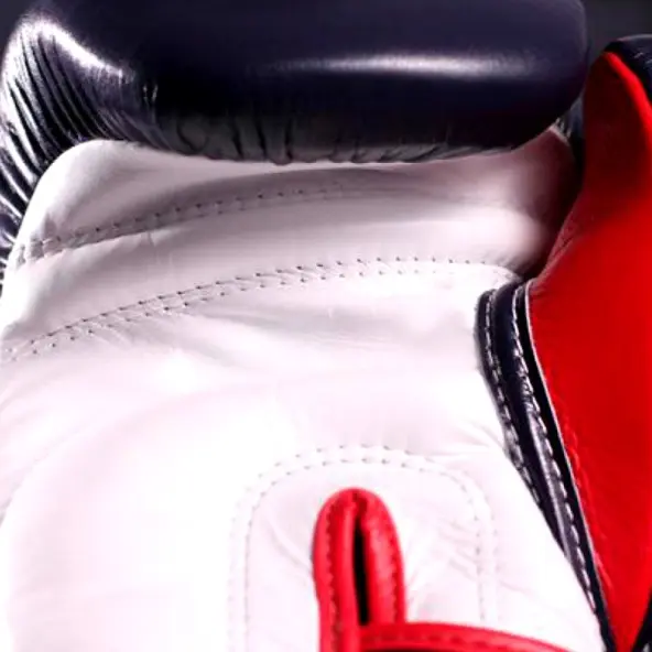 Guantes de boxeo Fairtex FXV6