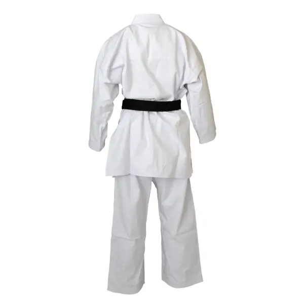 kimono-kaiten-europa-1-1415891300
